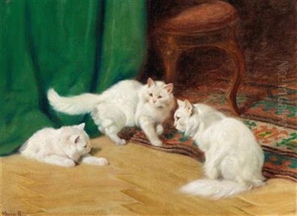 Conversation Amongst Cats - view 1