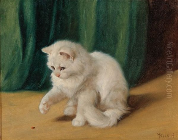 Cat With Ladybird - view 1