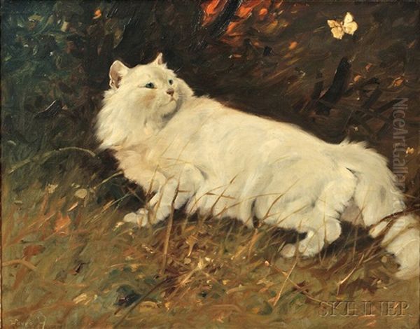 Cat And Butterfly - view 1