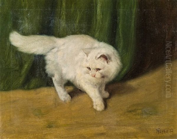 Weise Angorakatze - view 1