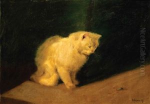 Cat Cat