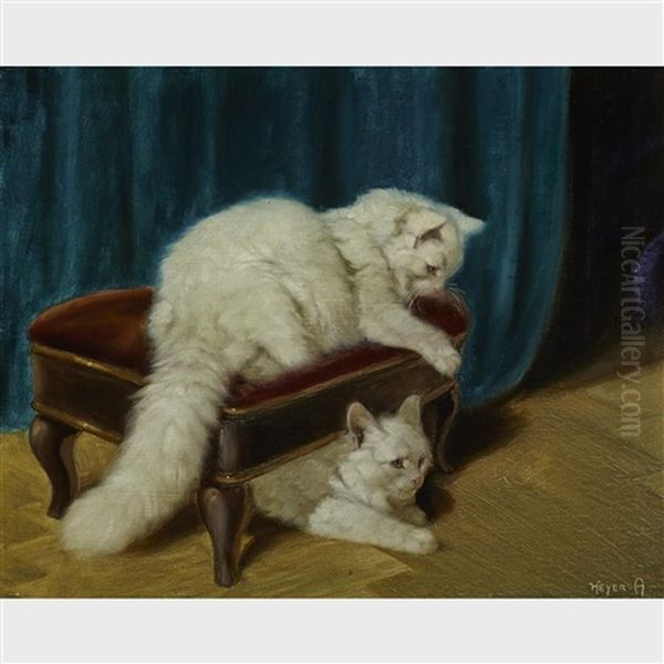White Persian Cats Playing On A Footstool - view 1