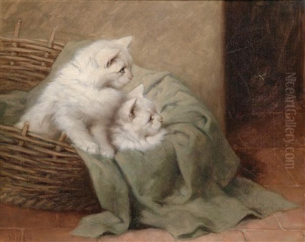 Zwei Weise Katzen Im Korb - view 1