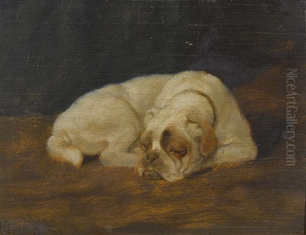Schlafender Hund - view 1