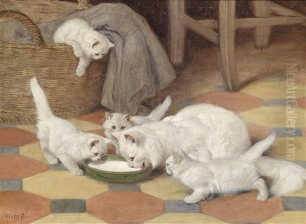 Katzenfamilie - view 1