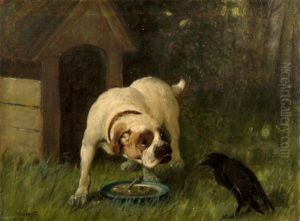 Hund Verteidigt Seinen Futternapf