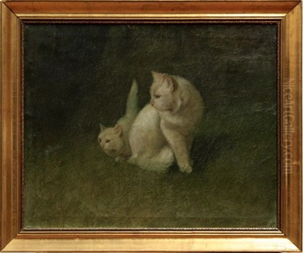 Two White Kittens With A Bug - view 1