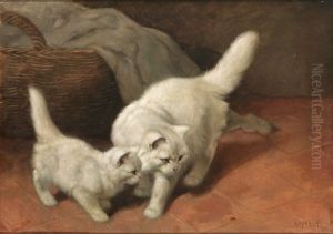 Weise Perserkatze Und Junges Beobachten Einen Marienkafer Weise Perserkatze Und Junges Beobachten Einen Marienkafer