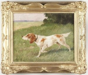 Pointer Pointer