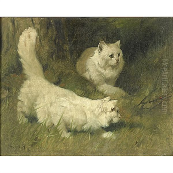 Persian Cats Chasing A Ladybug - view 1