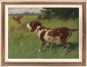 Pointer Mit Aufgescheuchtem Vogel Pointer Mit Aufgescheuchtem Vogel