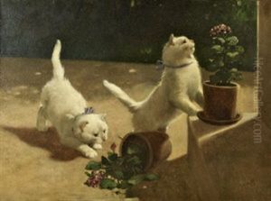 Two White Cats Playing by Arthur Heyer