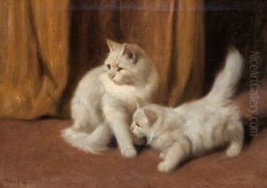 Zwei Weise Katzen Und Eine Biene