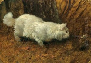Die Katze Und Die Schnecke