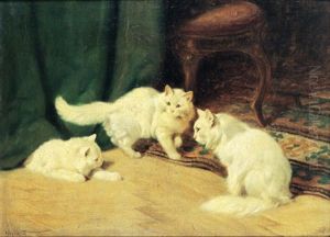 Cats Cats