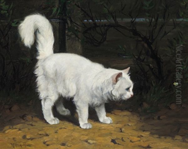 Weise Katze Und Ein Schmetterling - view 1