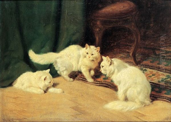 Three Cats - view 1