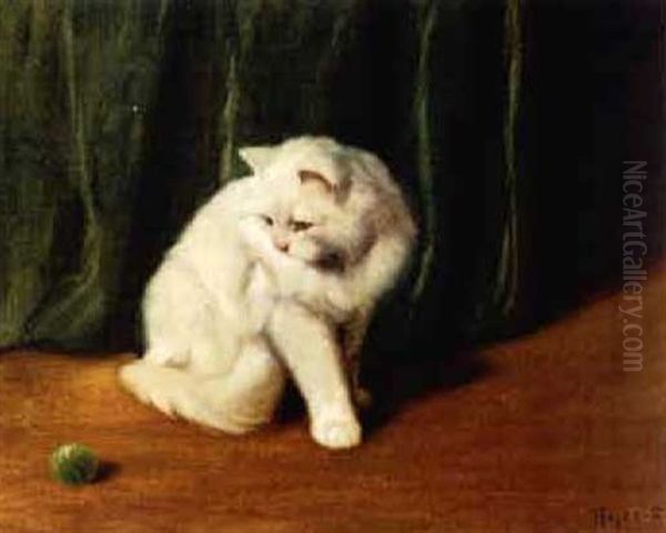 White Persian Cat Playing With A Ball - view 1