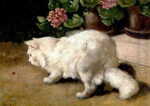Weise Katze, Aufmerksam Einen Marienkafer Beobachtend Weise Katze, Aufmerksam Einen Marienkafer Beobachtend