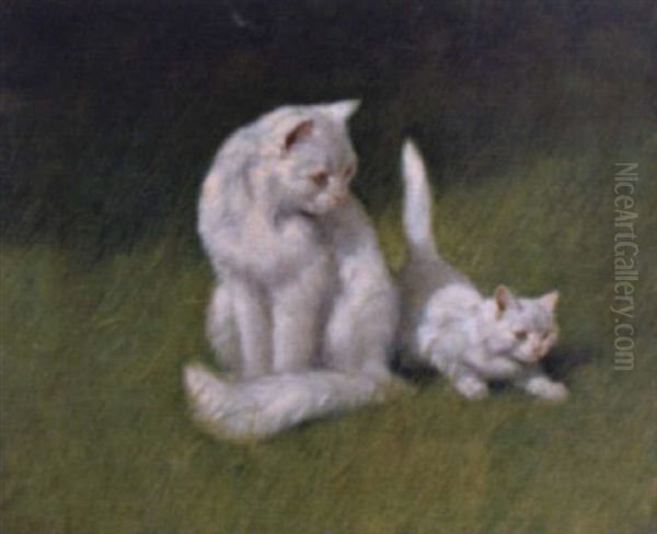 Katzen Im Gras - view 1