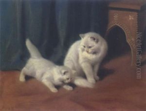 Katzen Katzen