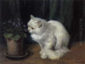 Katze Und Blumentopf