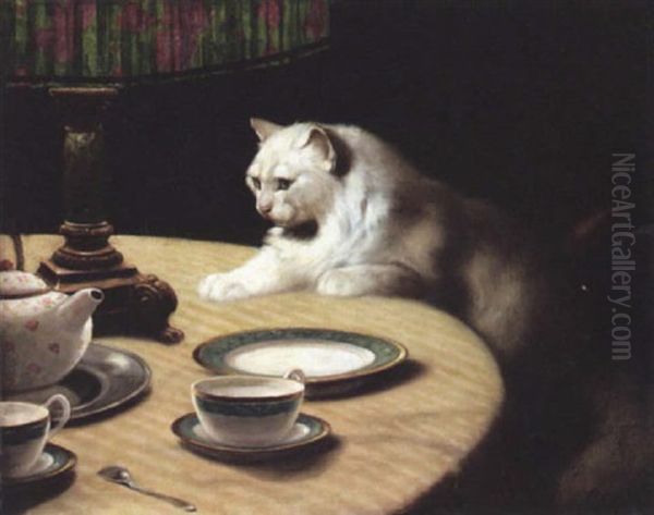 Cat On A Table - view 1
