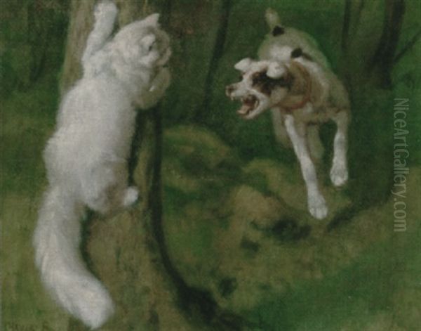 The Lucky Escape - view 1