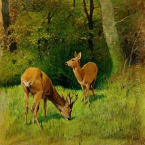 Deer In A Wooded Glade by Arthur Heyer