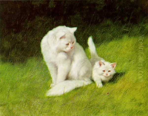 The Inquisitive Kitten - view 1