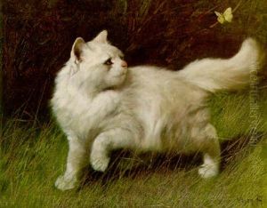 A White Persian Chasing A Butterfly A White Persian Chasing A Butterfly