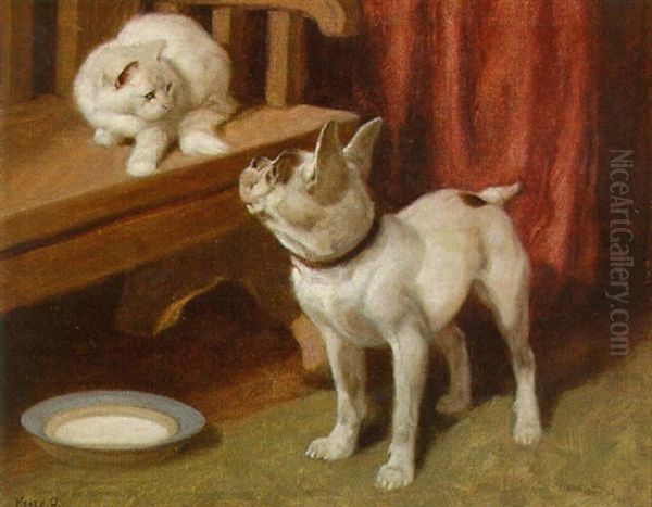 A Persian And A Terrier Before A Bowl Of Milk - view 1