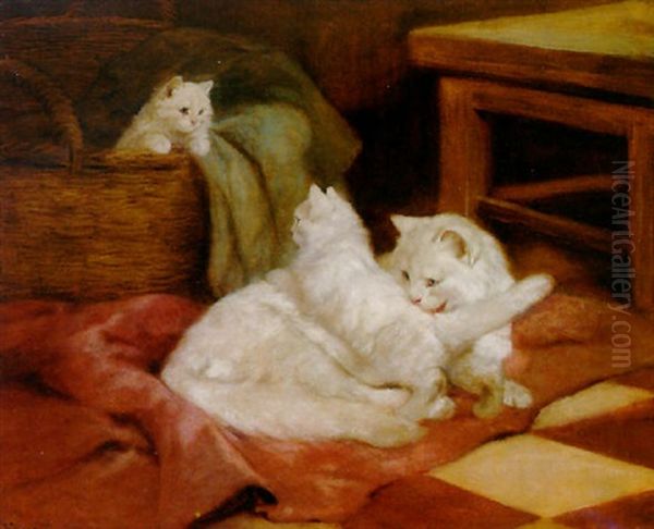 Playful Kittens - view 1