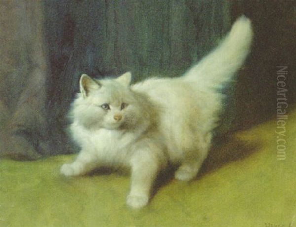 A White Persian - view 1