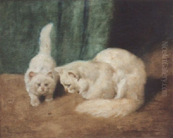 Two Persian Cats With A Ladybird - view 1
