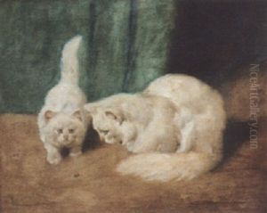 Two Persian Cats With A Ladybird