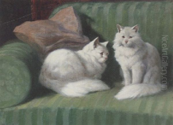 Two Persian Cats On A Green Sofa - view 1