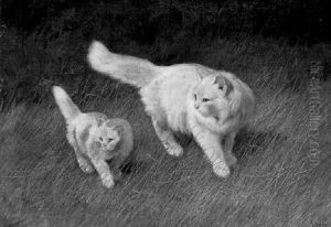 Katzenspaziergang Katzenspaziergang