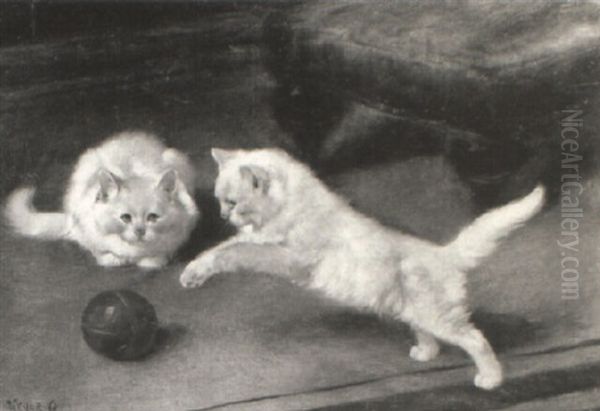 Cats Playing With Ball - view 1