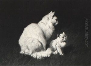 Mother Persian And Kitten Mother Persian And Kitten