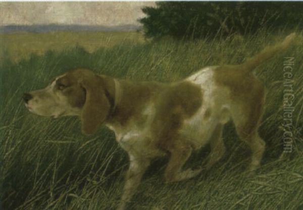 A Hound In A Landscape - view 1