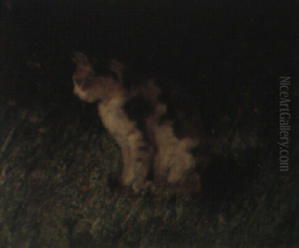 Cat Chasing A Butterfly - view 1