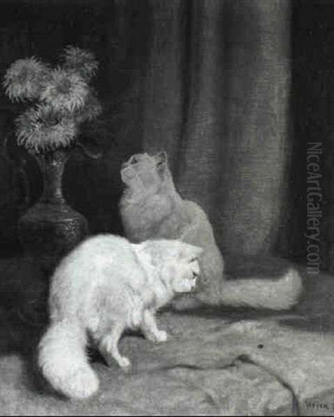 Curious Cats - view 1