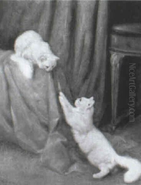 Playful White Cats - view 1