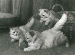 Playmates Playmates