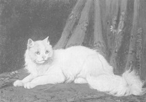 White Cat by Arthur Heyer