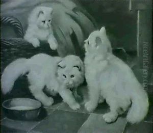 Drei Weisse Katzen Drei Weisse Katzen