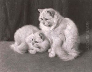 Zwei Weisse Katzen Zwei Weisse Katzen