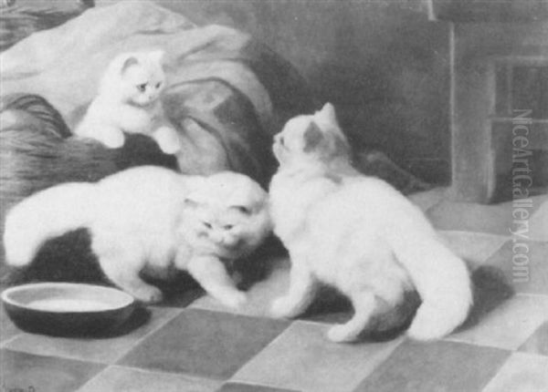 White Persians With A Bowl Of Milk - view 1