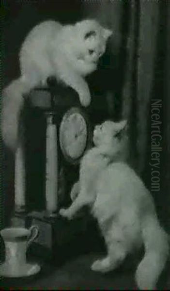 Katzen Lernen Die Uhr Kennen - view 1
